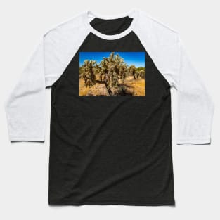 Cholla Cactus along the Apache Trail Baseball T-Shirt